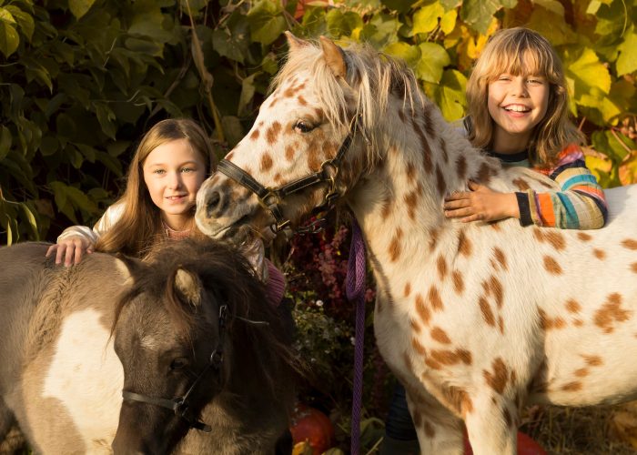 311483660_622110362718300_12669965497196432_n