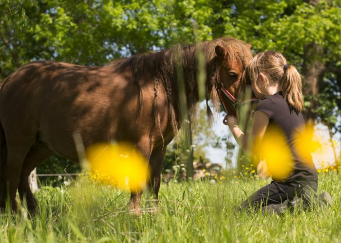 354442412_3334050990191600_2748479174731432244_n