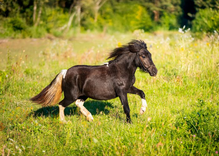 459457639_1095010535428278_6636190748645194850_n