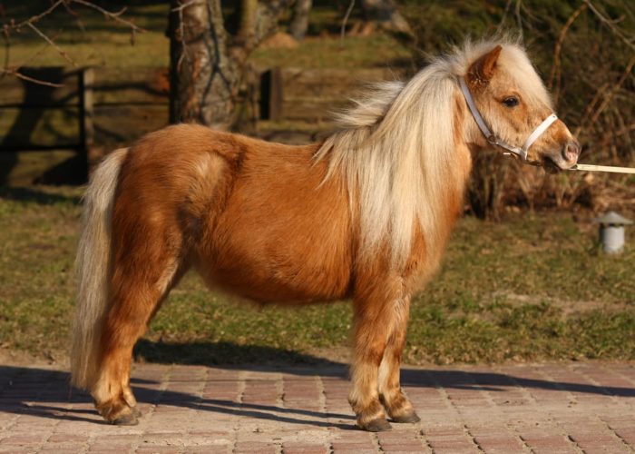 475692657_1200567464872584_1615694900940084294_n