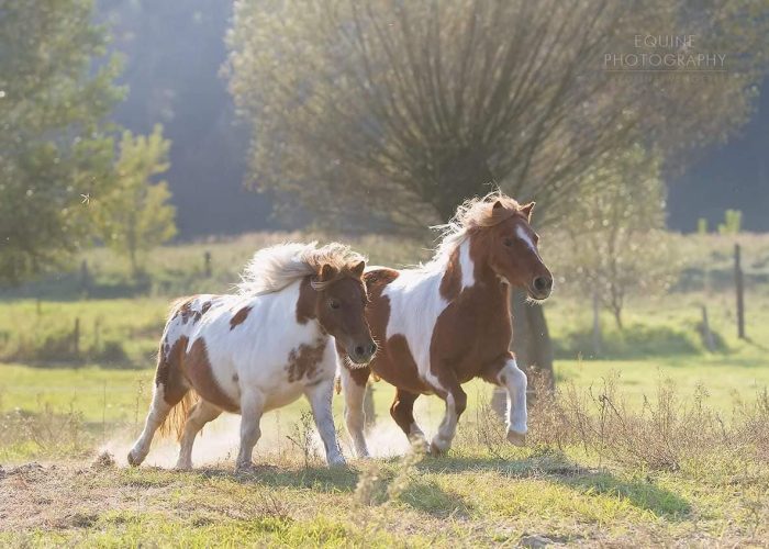 480161331_1213251256937538_7216356607059346850_n