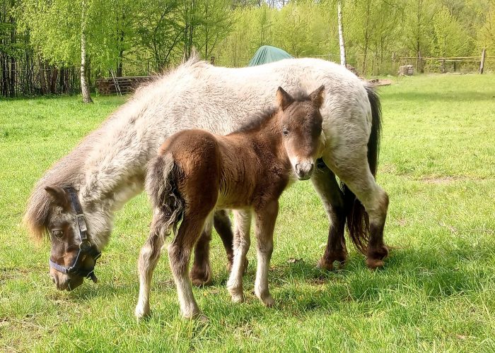 488516409_1252103806385616_3547990664622186536_n