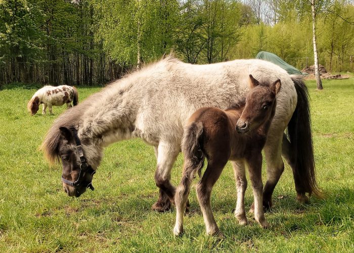 488684798_1252103426385654_1124979995391354618_n