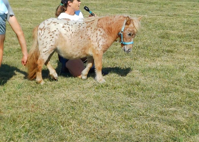 489031223_1255140416081955_7258859675015142086_n