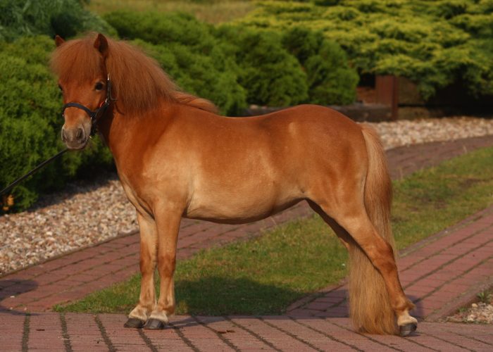 49402048_949774175215987_531600183968923648_n