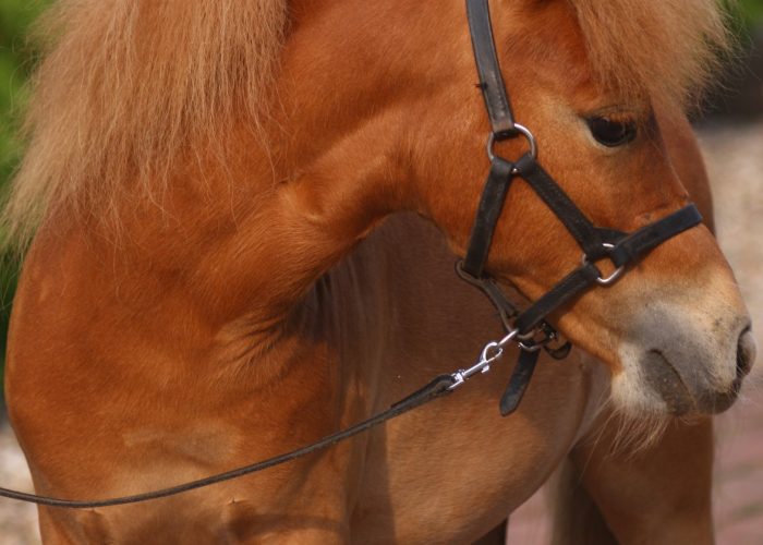 49538240_949774201882651_4144124973662863360_n