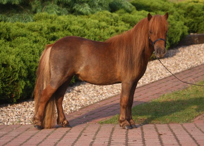 49584195_949774191882652_7547468062719475712_n