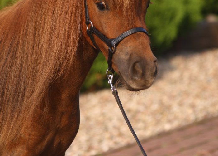 49705037_949774248549313_3817756632247435264_n