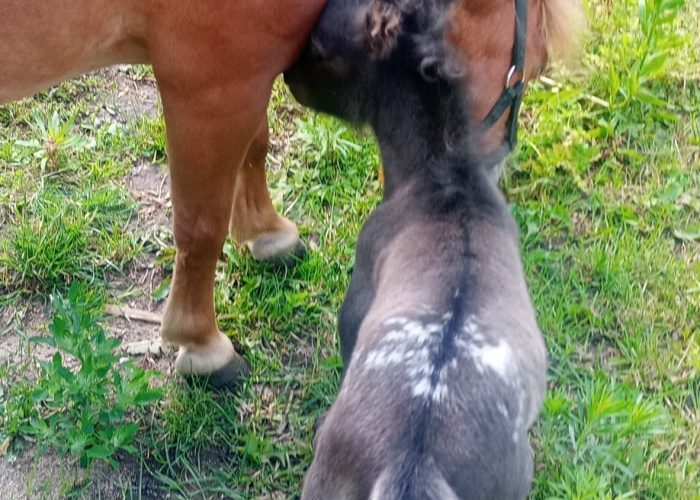 510960046_1316303576632305_8334921153781492320_n