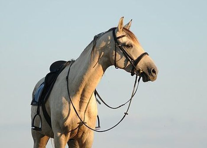 514641218_10235377788638807_2399558261175381574_n