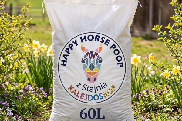 Gemini_Generated_Image_1if3eo1if3eo1if3