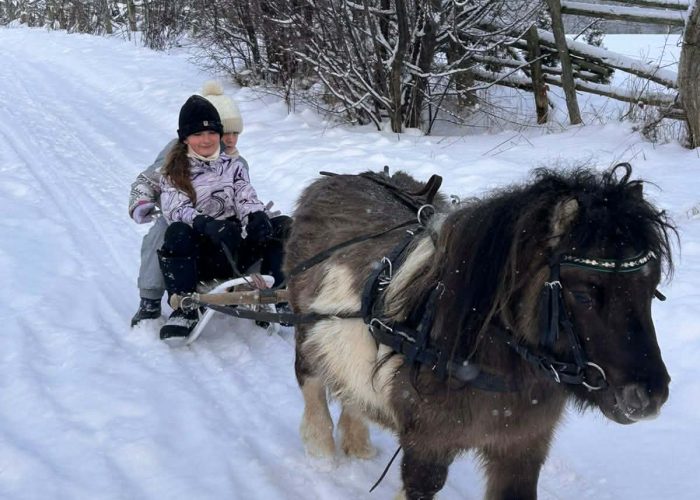 d3c3e38e-34cf-4a32-b354-06540a458a67