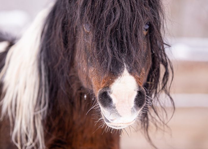 Tata- Woran from Broken Kolors